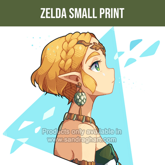 Zelda TOTK Small Print